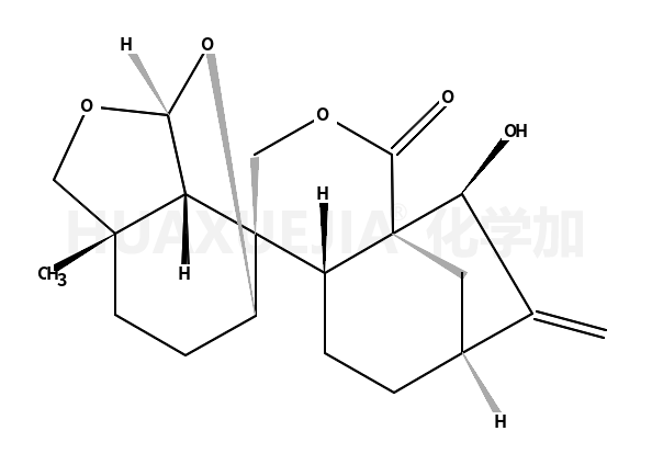 黄花香茶菜素 K