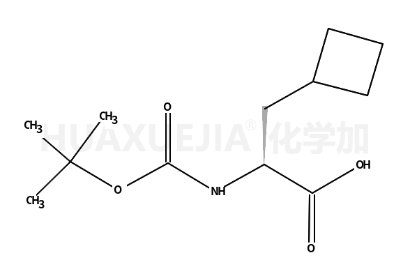 BOC-L-环丁基丙氨酸