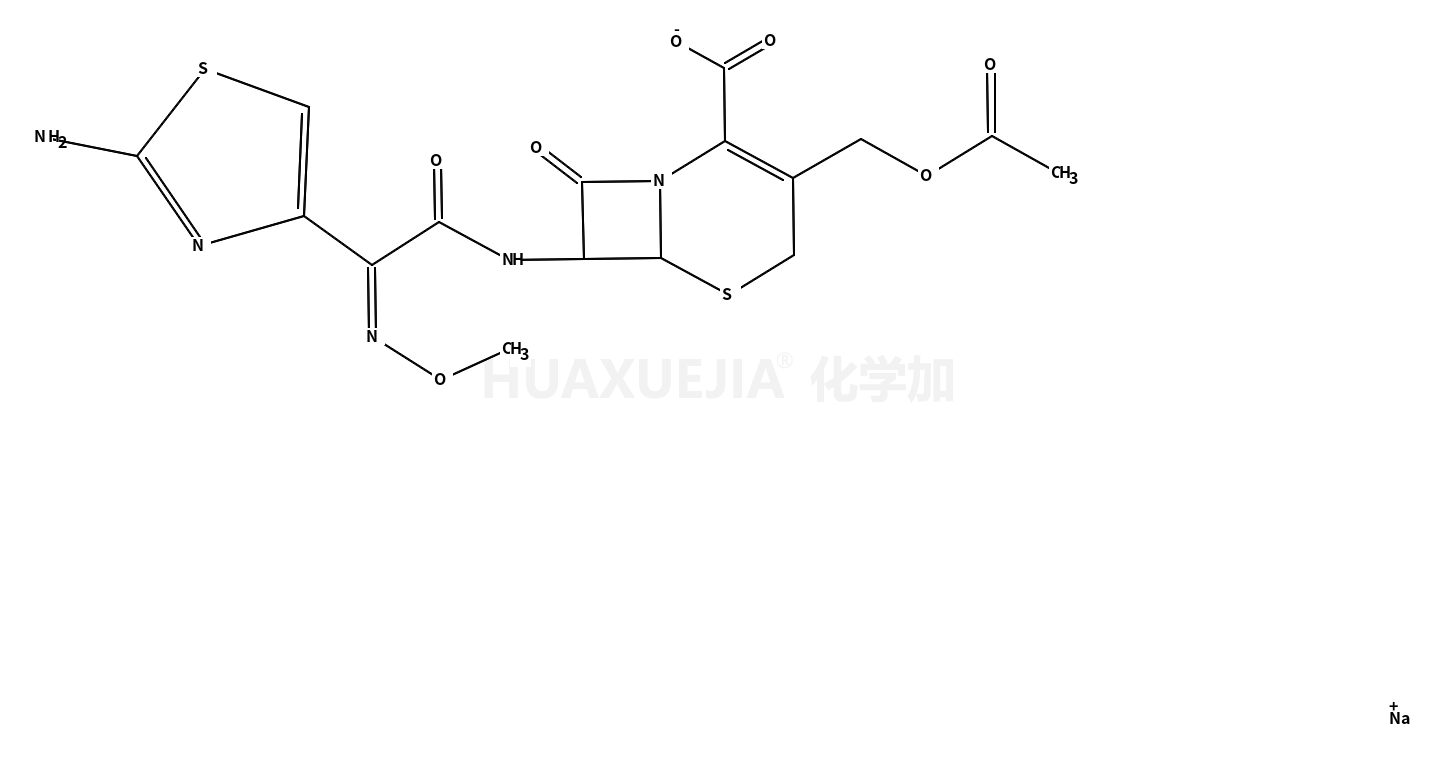 頭孢噻肟鈉