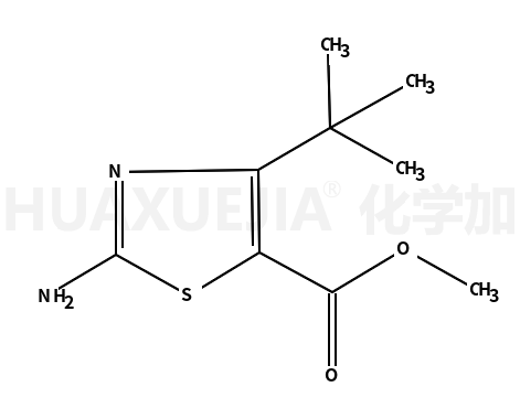 2-氨基-4-叔丁基噻唑-5-羧酸甲酯