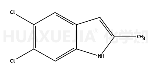 5,6-二氯-2-甲基-1H-吲哚