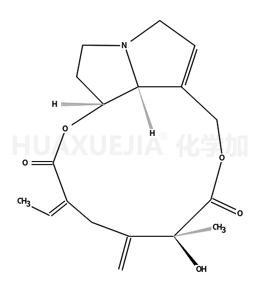 Seneciphylline