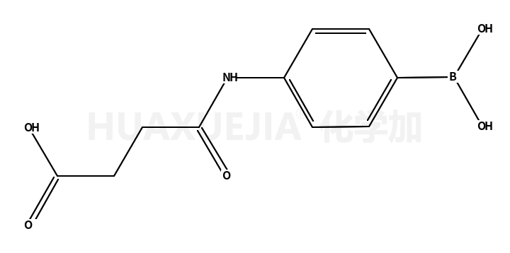 N-(4-硼苯)琥珀酰胺酸