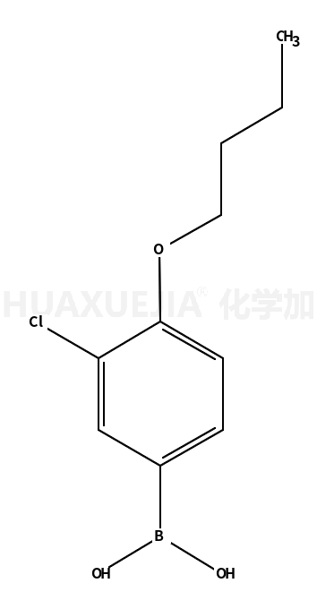 4-丁氧基-3-氯苯基硼酸