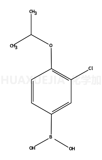 3-氯-4-异丙氧基苯基硼酸