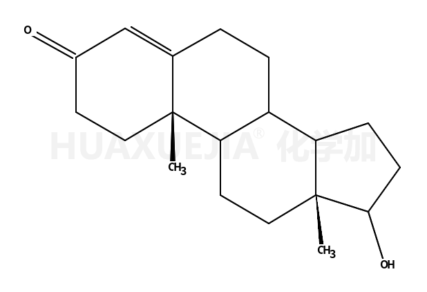 表睾酮