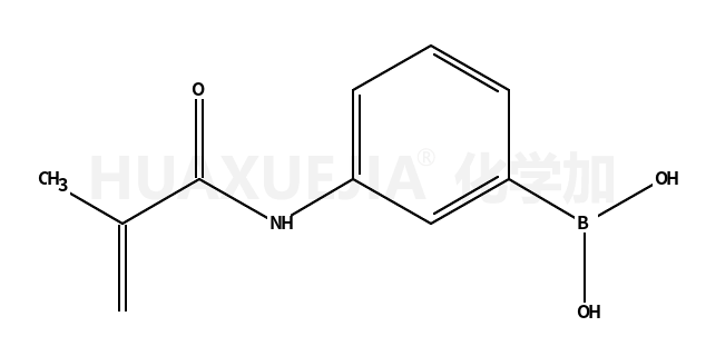 3-甲基丙烯酰胺基苯硼酸