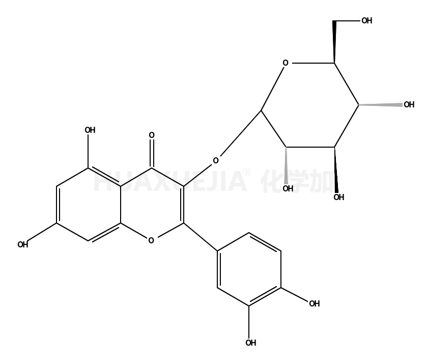 quercetin 3-O-β-D-galactopyranoside