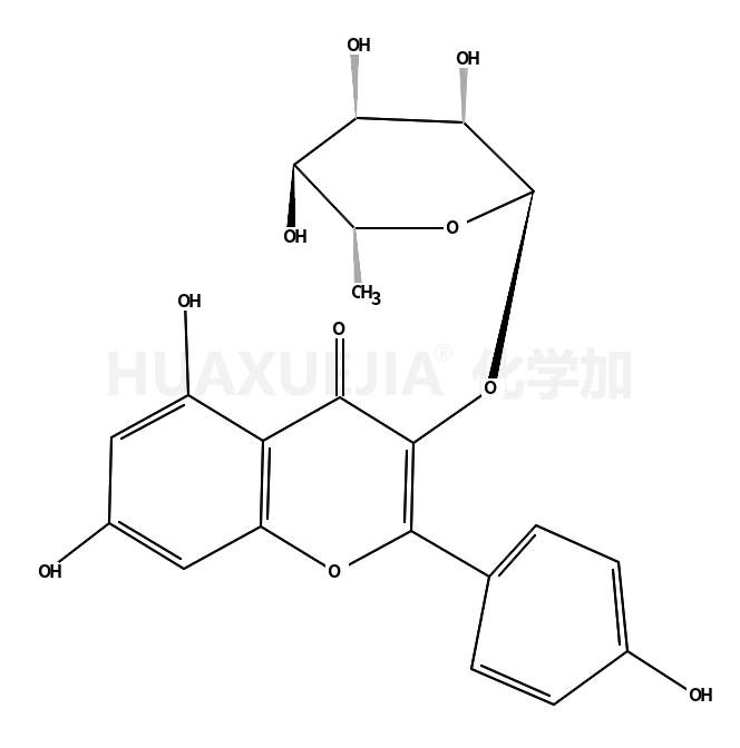 482-39-3结构式