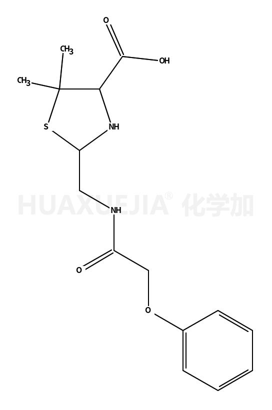 苯氧基甲酰胺甲基(二甲基)二氢噻唑甲酸