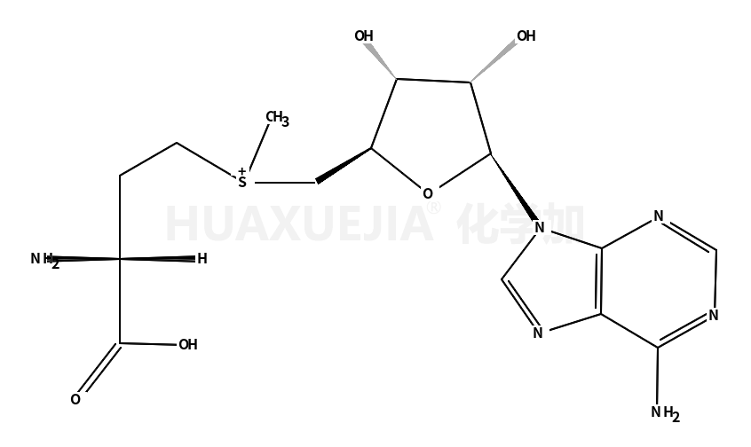 S-腺苷蛋氨酸
