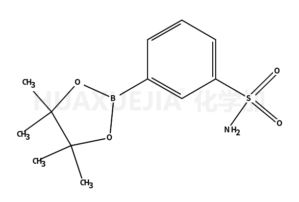 苯磺酰胺-3-硼酸频哪醇酯