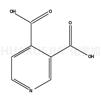 3,4-吡啶二羧酸