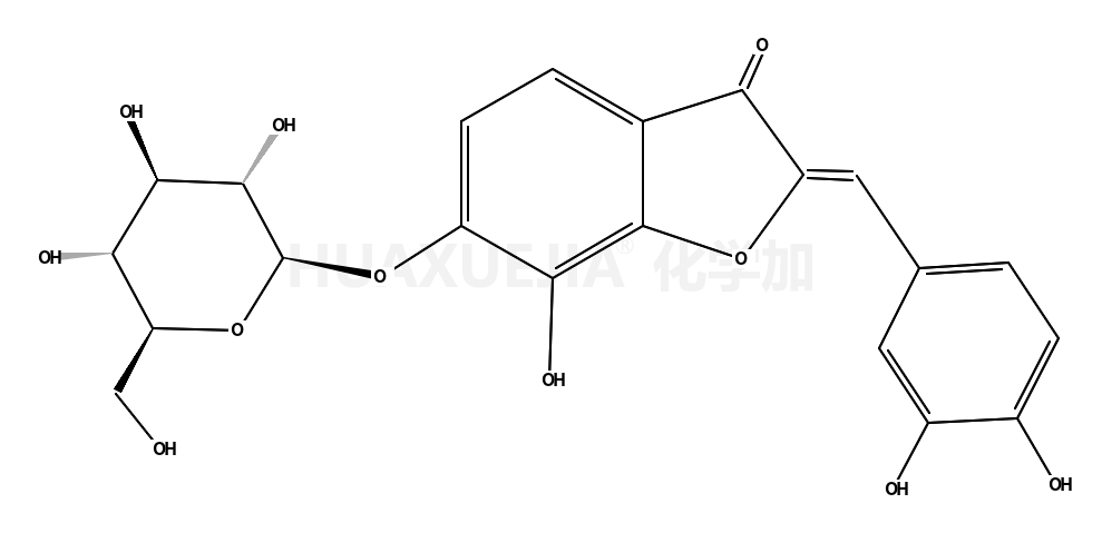 (2Z)-2-[(3,4-dihydroxyphenyl)methylidene]-7-hydroxy-6-[(2S,3R,4S,5S,6R)-3,4,5-trihydroxy-6-(hydroxymethyl)oxan-2-yl]oxy-1-benzofuran-3-one