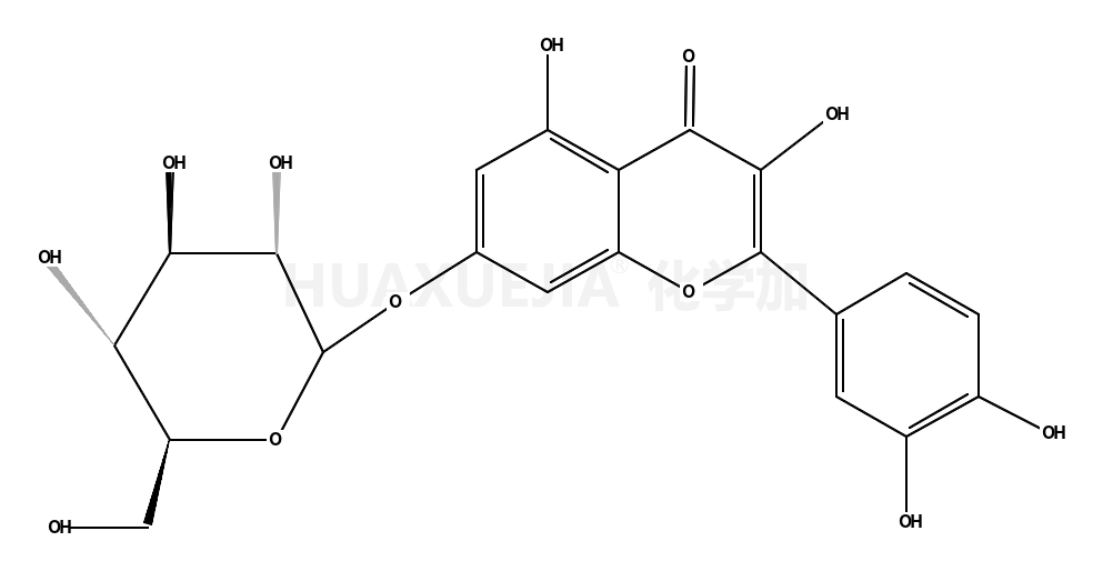 槲皮素-7-葡萄糖苷