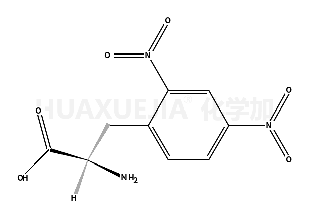 (S)-2-氨基-3-(2,4-二硝基苯基)丙酸