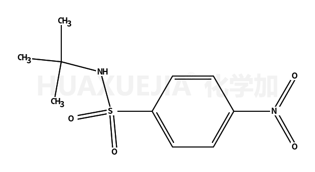 N-叔丁基-4-硝基苯磺酰胺