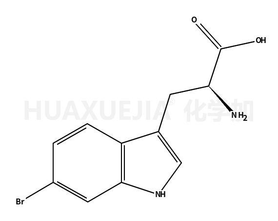 6-溴-D-色氨酸