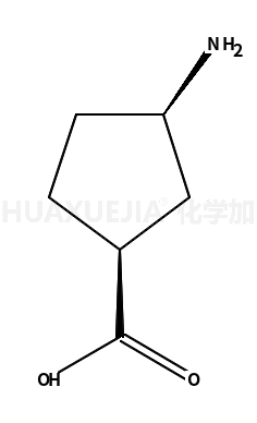 顺-3-氨基环戊甲酸