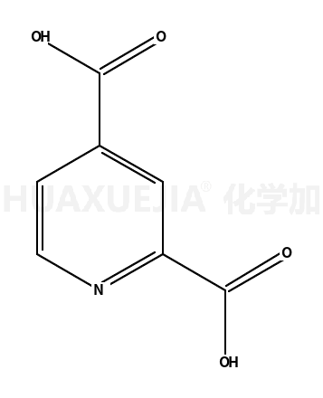 吡啶-2，4-二羧酸