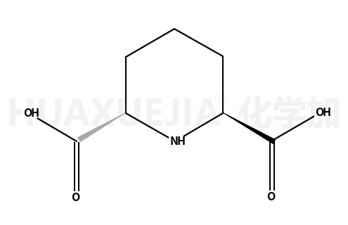 哌啶-2,6-二甲酸