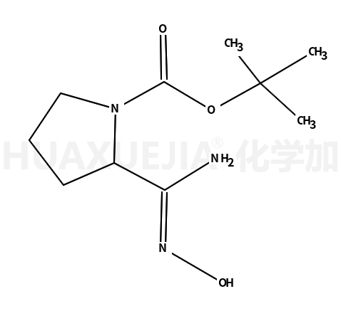 2-[(羟基氨基)亚氨基甲基]-1-吡咯烷甲酸叔丁酯