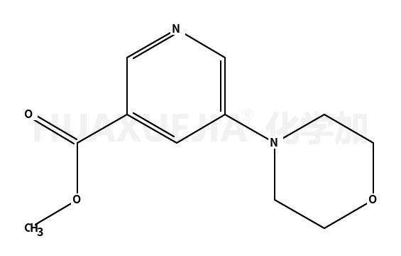 5-吗啉-4-基-烟酸甲酯