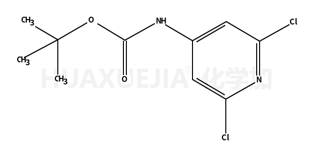 N-Boc-4-氨基-2,6-二氯吡啶