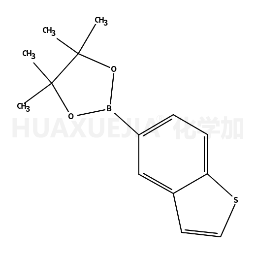 2-(1-苯并噻吩-5-基)-4,4,5,5-四甲基-1,3,2-二氧硼烷