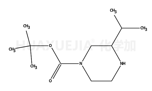 1-叔丁氧羰基-3-异丙基哌嗪