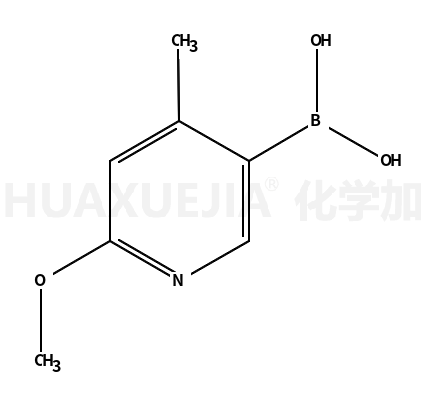 6-甲氧基-4-甲基吡啶-3-硼酸