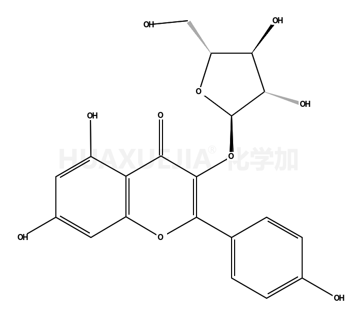 山柰酚 3-阿拉伯呋喃糖苷