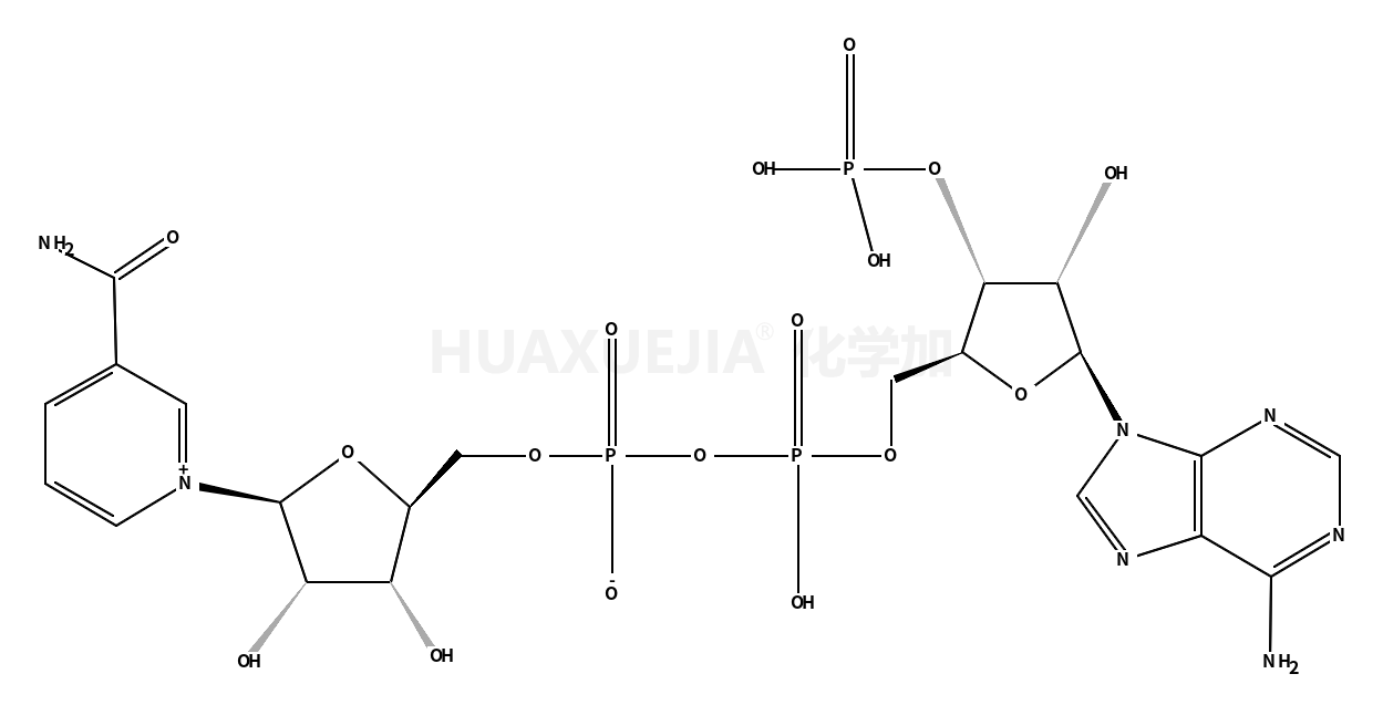 BETA-烟酰胺腺嘌呤双核苷酸