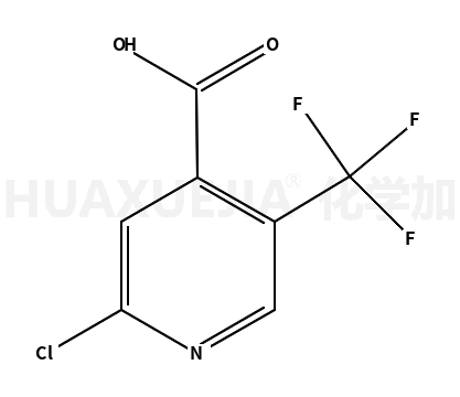 2-氯-5-三氟甲基吡啶-4-甲酸