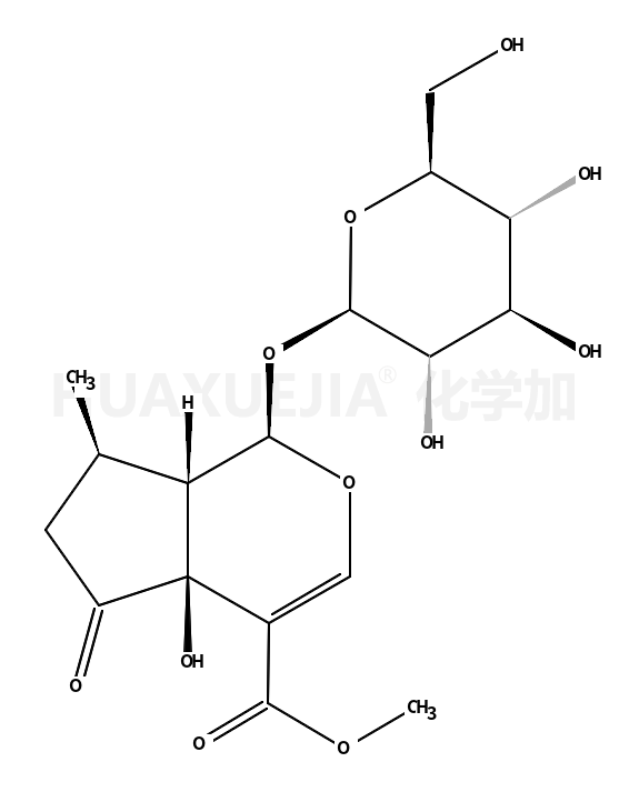 5-羟基马鞭草苷