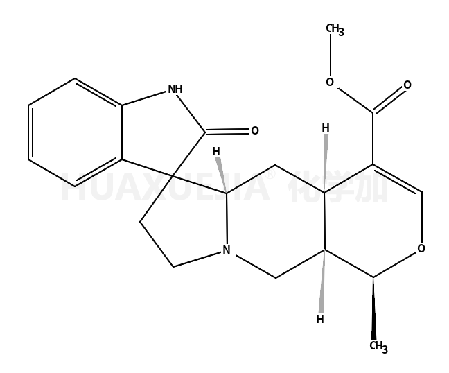 MITRAPHYLLINE