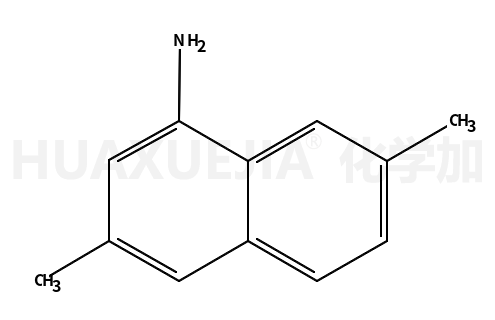 3,7-二甲基萘-1-胺