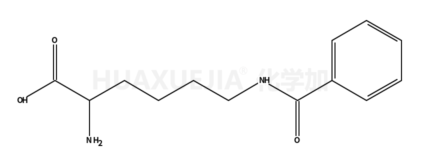 DL-ω-苯甲酰赖氨酸