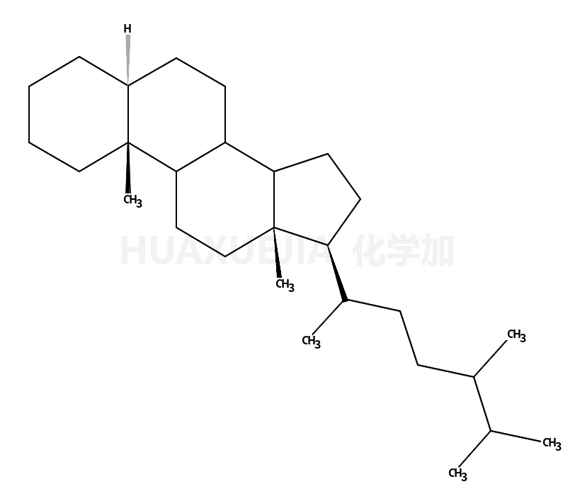 5α-ergostane