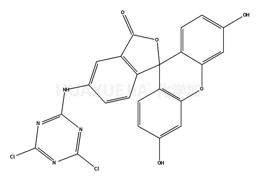 5-(4，6-二氯三嗪)氨基荧光素