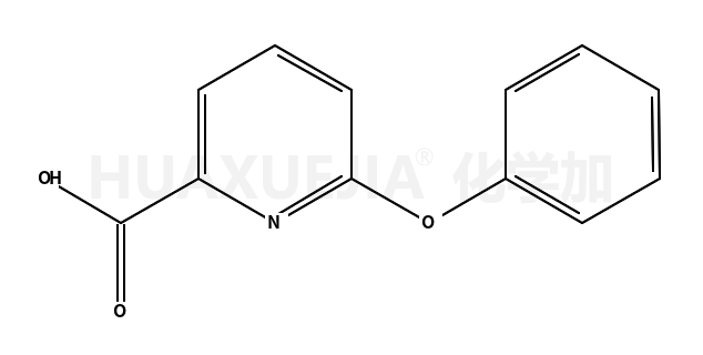 6-苯氧基-吡啶-2-羧酸