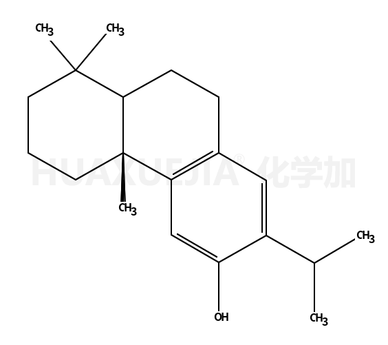 Ferruginol