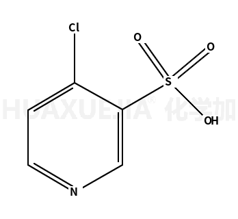 4-氯吡啶-3-磺酰酸