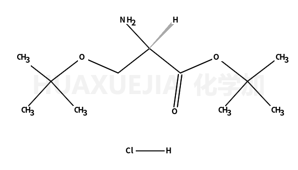 H-SER(TBU)-OTBU HCL