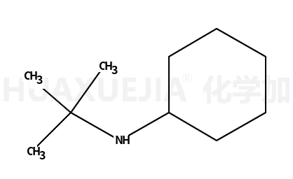 N-叔丁基环己胺