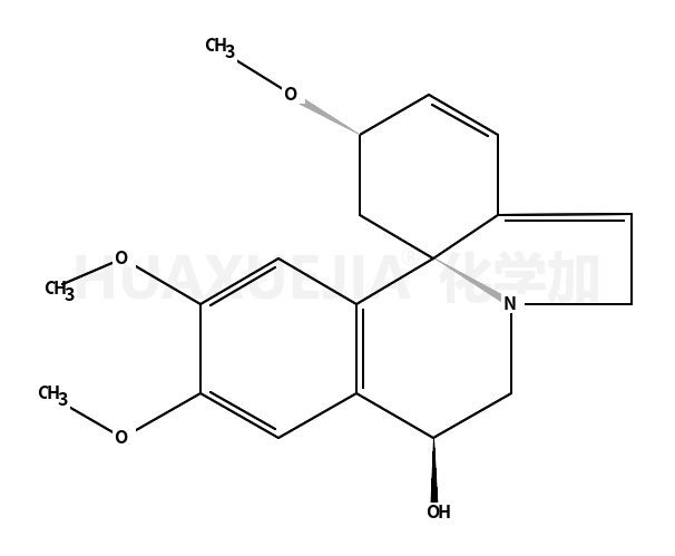 刺桐阿亭