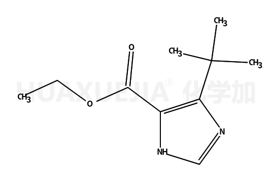 5-叔丁基-1H-咪唑-4-羧酸乙酯