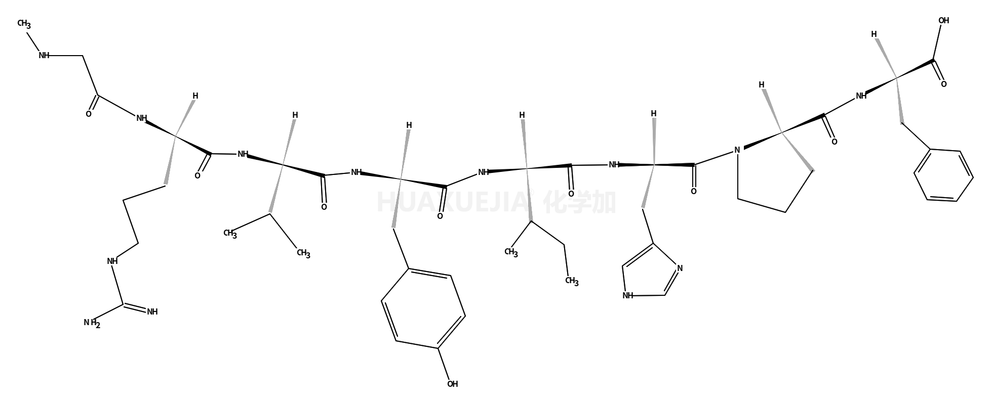 angiotensin II