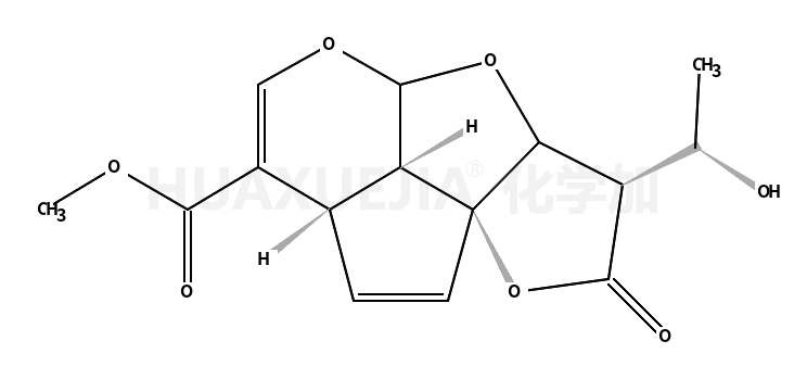 黄蝉花内酯