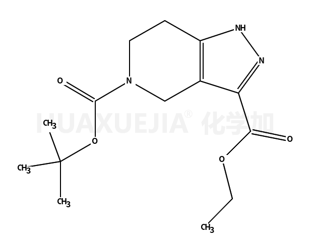 5-叔丁基-3-乙基-1,4,6,7-四氢-5H-吡唑并[4,3-c]吡啶-3,5-二羧酸